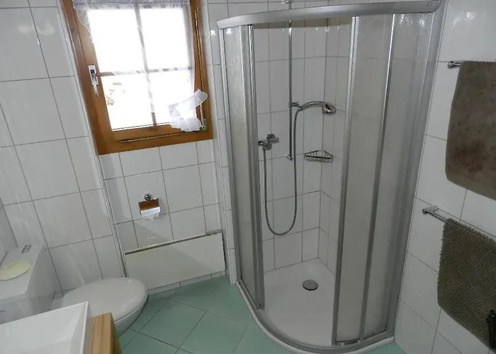 Lejlighed Silberdistel By Interhome Lauenen