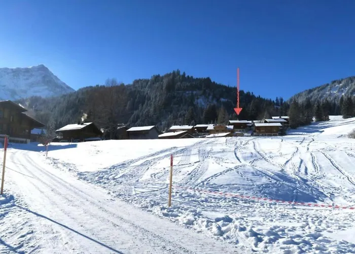 Silberdistel By Interhome Lauenen