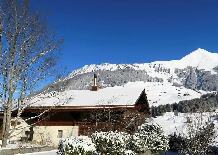 Silberdistel By Interhome Appartement